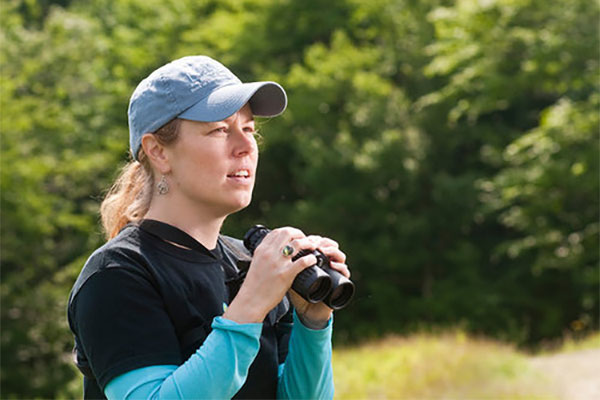Birding By Ear and a Guided Bird Walk With The Bird Diva at The Nature Museum