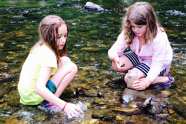 The Nature Museum Offers Exciting Summer Camps for Budding Naturalists