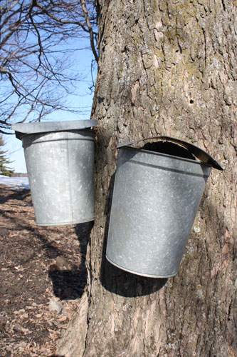 Photos of maple syrup and sugaring season taken in Brookfield and Chester, Vermont.