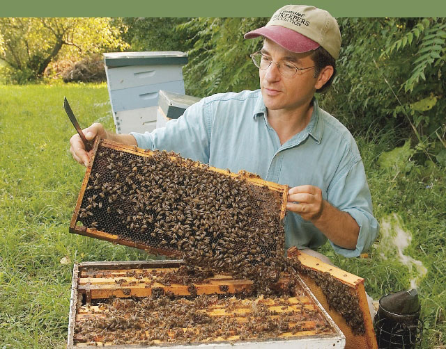 Organic Beekeeping Workshop With Ross Conrad
