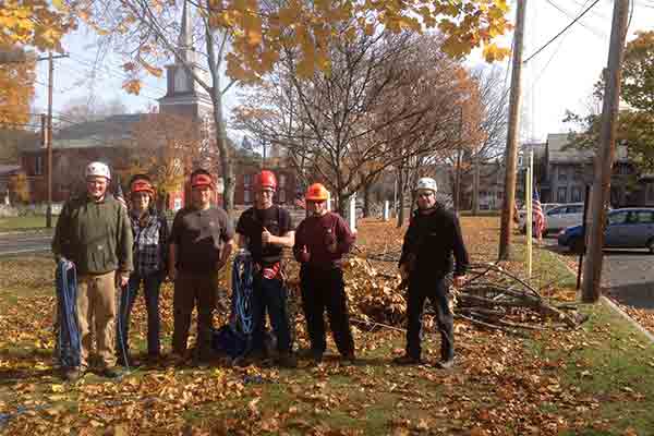 Chester Townscape's Fall Tree Pruning at the Chester Green