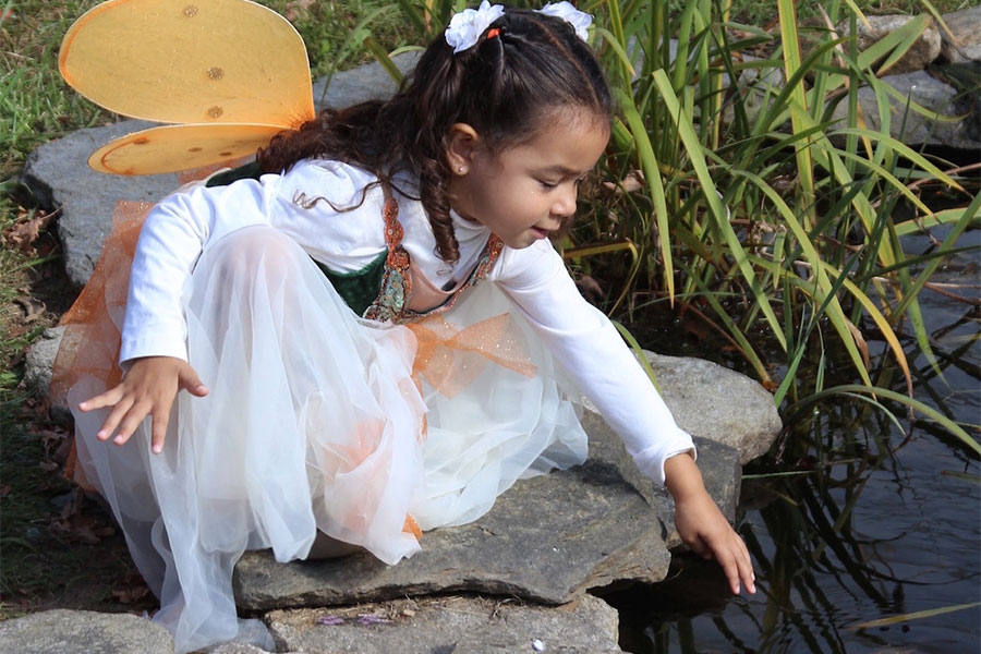 Fairy House Festival in Grafton Announces Dates for 2016 Seeks Volunteers