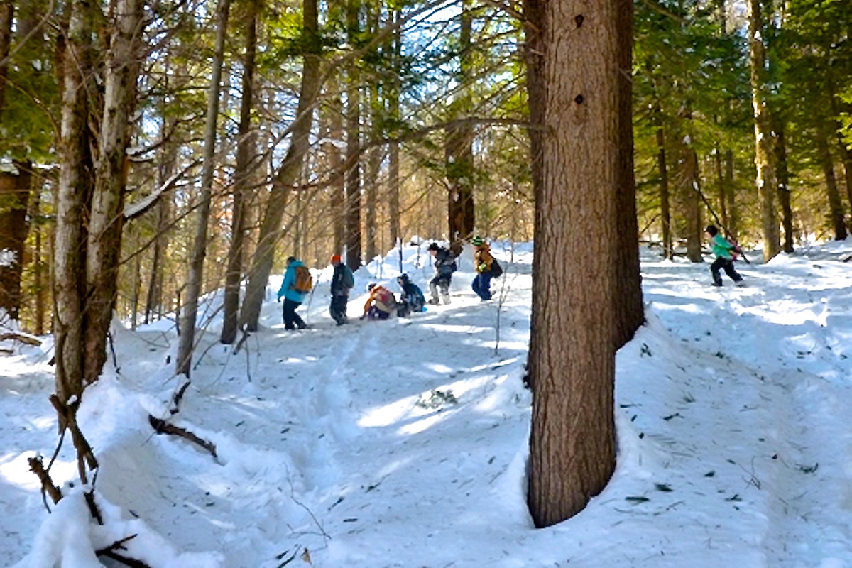 The Nature Museum Offers Unique Open-Air Adventures for Kids