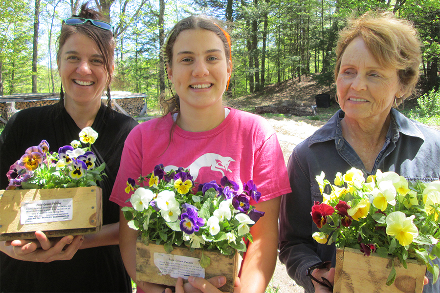 Pansy Pick-up Days May 11 and 12