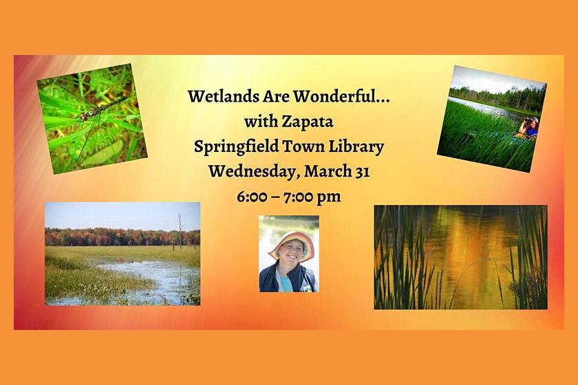 Wetland Are Wonderful... with Zapata Courage