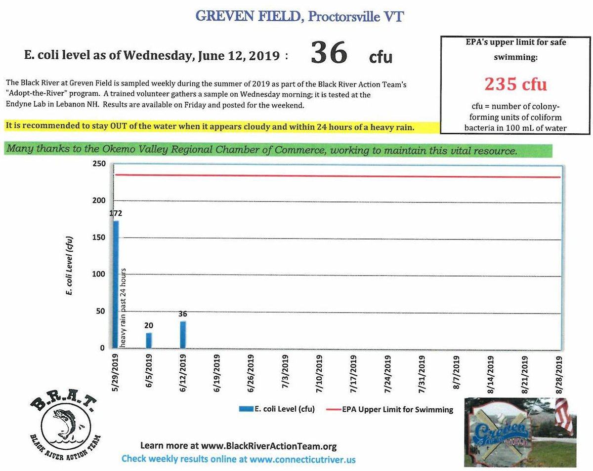 2019 Bacteria Chart from the Black River at Greven Field in Cavendish.