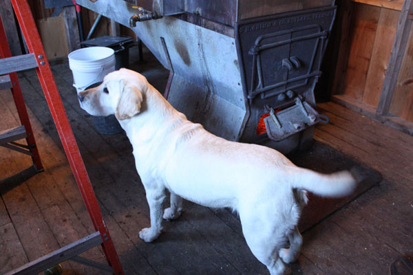 Photos of maple syrup and sugaring season taken in Brookfield and Chester, Vermont.