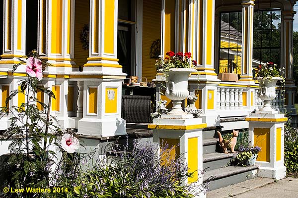 Thanks to a group of hard-working and thoughtful citizens, our town of Chester has enjoyed beautiful flower arrangements throughout our village.