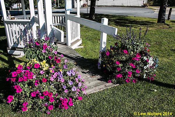 Thanks to a group of hard-working and thoughtful citizens, our town of Chester has enjoyed beautiful flower arrangements throughout our village.