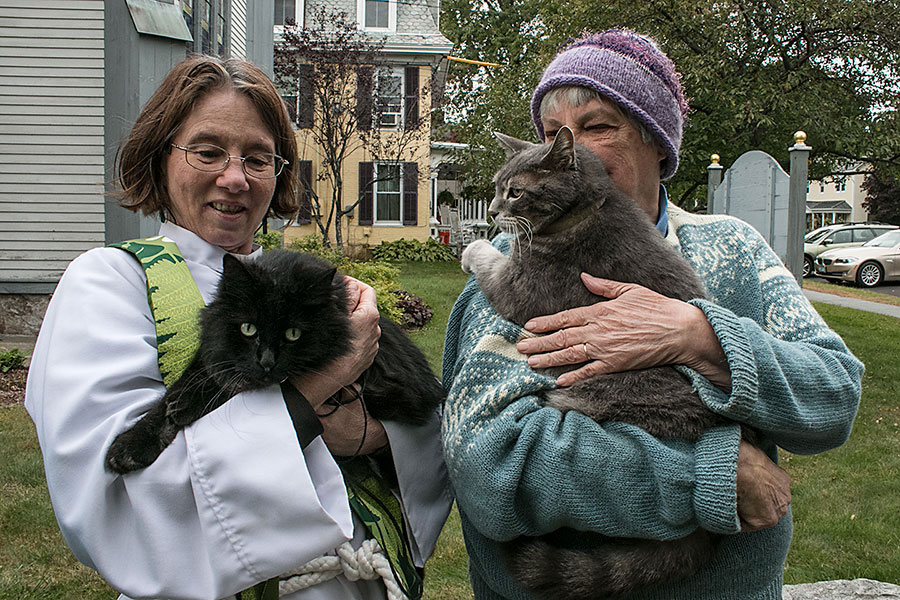 Blessing of the Animals at St. Luke's Church