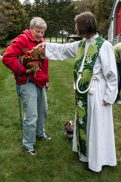 Blessing of the Animals at St. Luke's Church