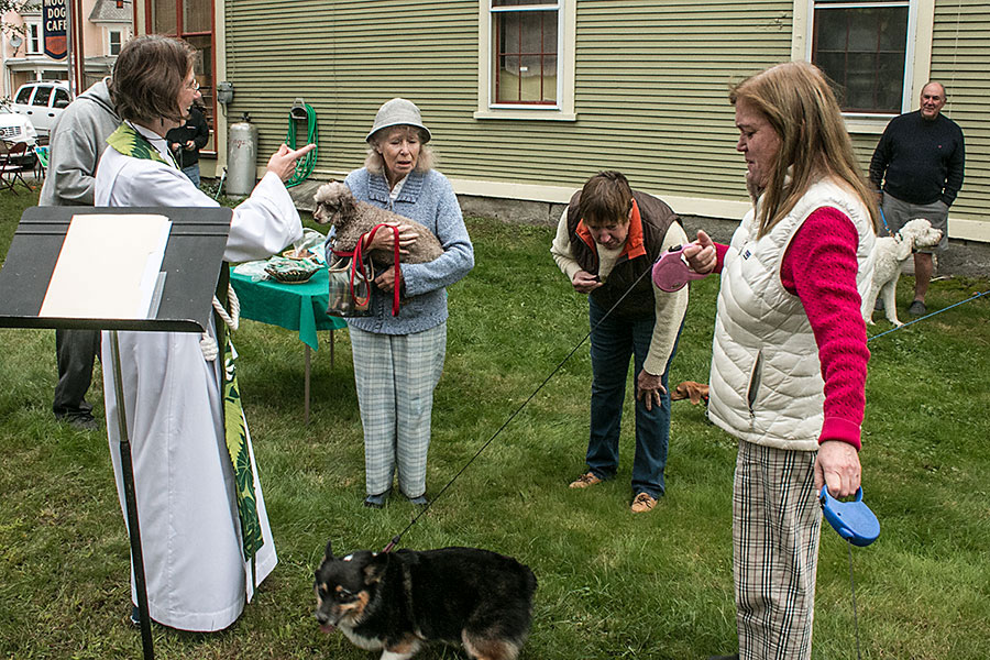 Blessing of the Animals at St. Luke's Church